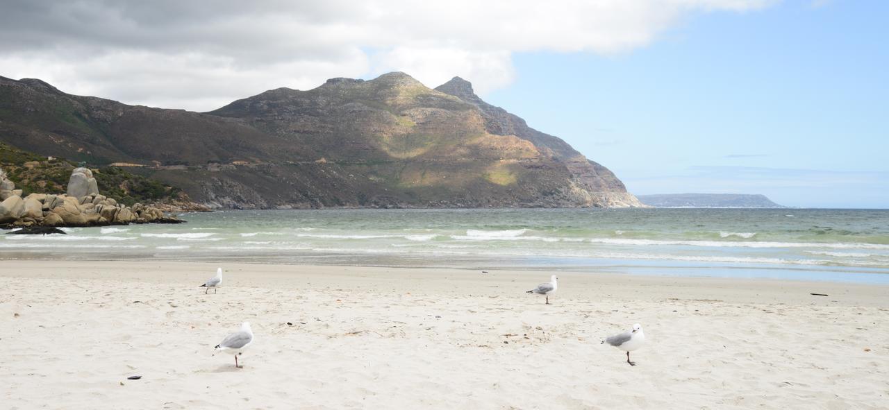 Dk Villas 1 Harbour View Hout Bay Esterno foto